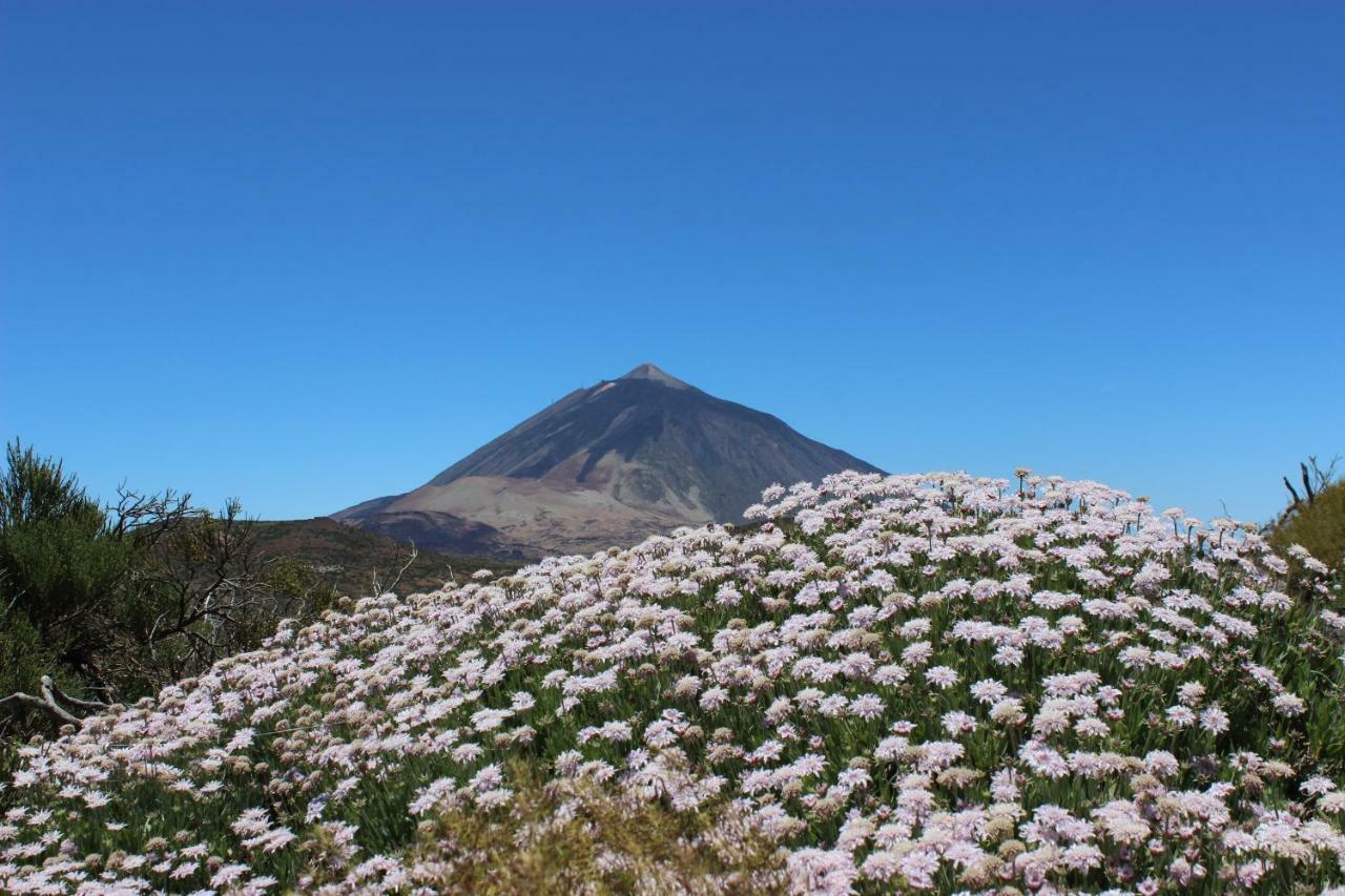 El Perenquen *